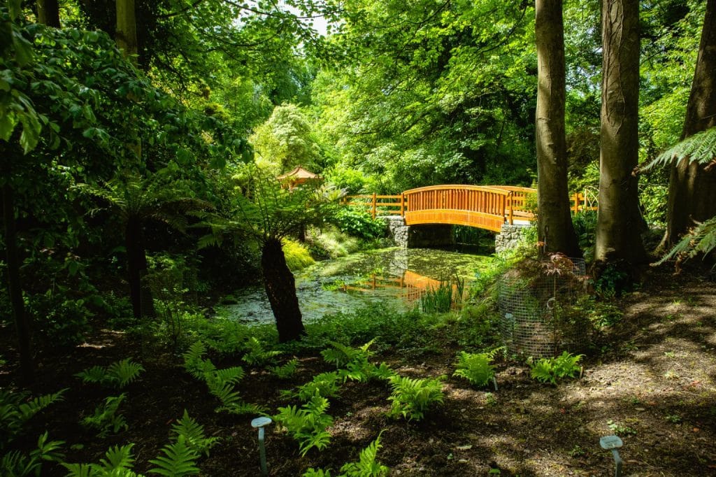 Malahide Gardens – Fairy Trail
